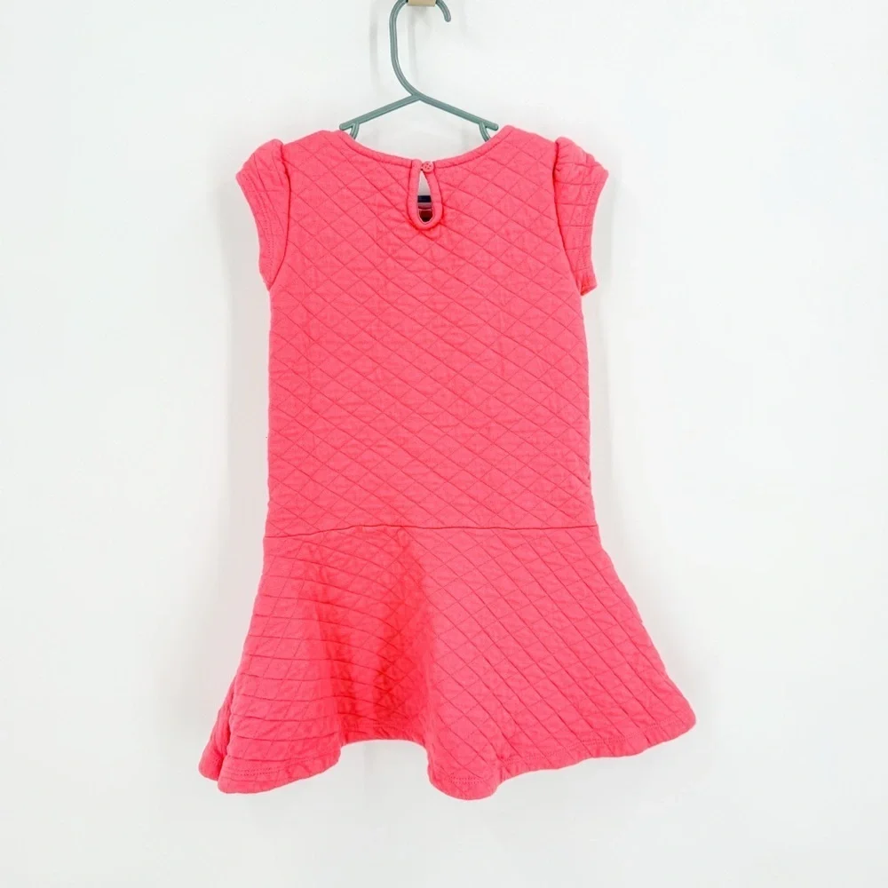 Gymboree Pink Flutter Sleeve Fit and Flare Dress